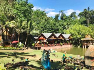 云南西雙版納游 旅行團_云南西雙版納半自由行_深圳特價云南西雙版納游