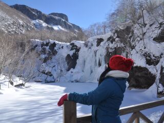 哈爾濱旅游跟團(tuán)需多少錢_哈爾濱組團(tuán)旅游_到哈爾濱旅游多少錢