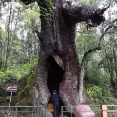 景点模块 