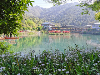 桂林陽(yáng)朔跟團(tuán)游與自由行_桂林陽(yáng)朔旅游多少錢(qián)_桂林陽(yáng)朔旅行團(tuán)旅游報(bào)價(jià)