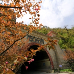 小交通模块 