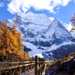 景点模块 