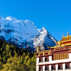 景点模块 
