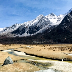 景点模块 