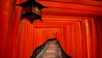 京都大阪+奈良+天桥+名古屋+富士山+东京5晚日本美食图片