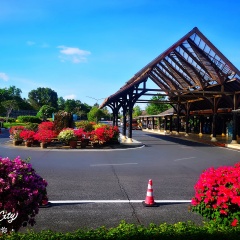 小交通模块 
