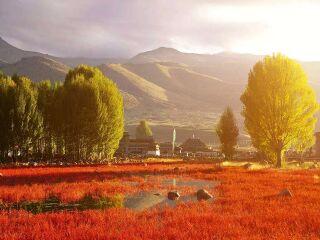 云南香格里拉組團旅游_報團去云南香格里拉多少錢_云南香格里拉旅游多少錢