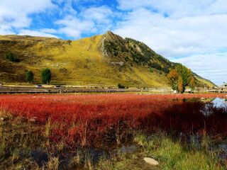 云南香格里拉組團旅游_報團去云南香格里拉多少錢_云南香格里拉旅游多少錢