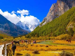 云南香格里拉組團旅游_報團去云南香格里拉多少錢_云南香格里拉旅游多少錢