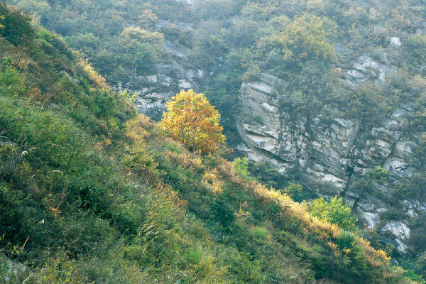 十一月去白洋淀旅游必备物品_十一月去白洋淀