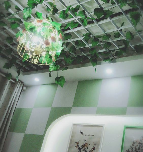 合肥枪与玫瑰公寓(4号店)