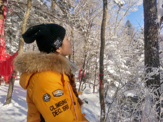 哈尔滨旅游的价钱_10月哈尔滨旅游_哈尔滨旅游报团游