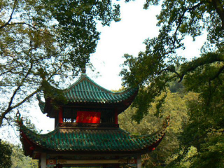 张家界几日游_张家界价格旅游_旅游张家界跟团