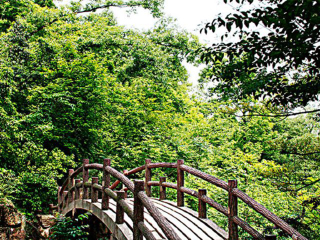 张家界几日游_张家界价格旅游_旅游张家界跟团