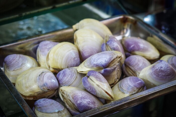 是达人】【途牛首发】自驾海南吃海鲜逛免税店