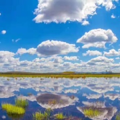 小交通模块 