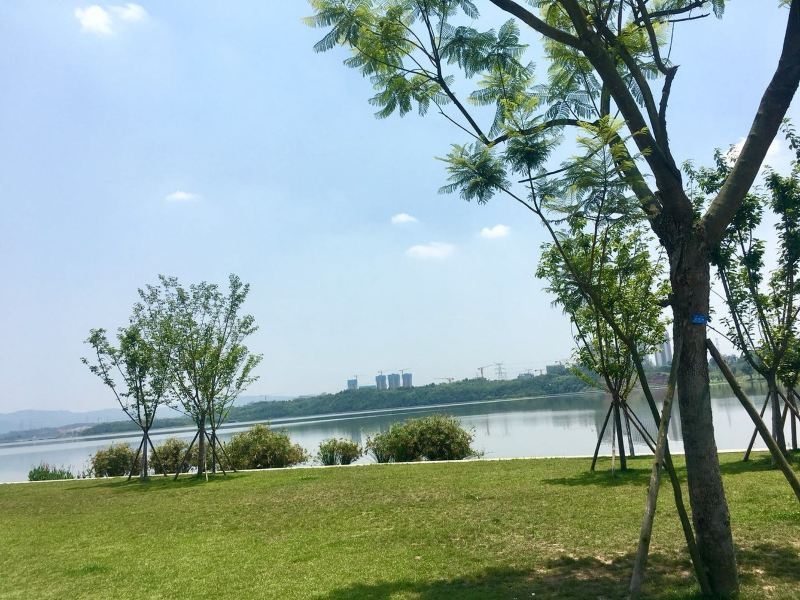 成都兴隆湖科学城玥涯之家公寓