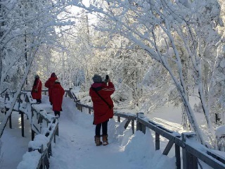 团哈尔滨旅游_去哈尔滨的旅游费用_哈尔滨8天旅游