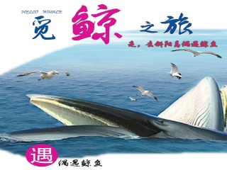 春节期间广西南宁-北海-涠洲岛旅游团_到广西南宁-北海-涠洲岛游跟团报价_到广西南宁-北海-涠洲岛的旅游费用