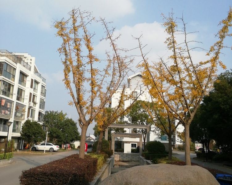 hotelPic
