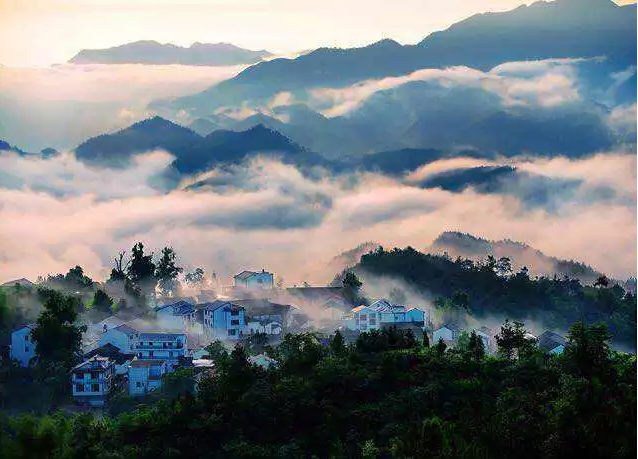 东阳天山村,一个飘浮于云端的天然氧吧