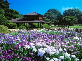東北長(zhǎng)白山旅游花多少錢_東北長(zhǎng)白山旅游價(jià)格多少_東北長(zhǎng)白山旅游一次多少錢