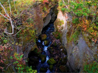 東北長(zhǎng)白山旅游花多少錢_東北長(zhǎng)白山旅游價(jià)格多少_東北長(zhǎng)白山旅游一次多少錢
