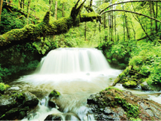東北長(zhǎng)白山旅游花多少錢_東北長(zhǎng)白山旅游價(jià)格多少_東北長(zhǎng)白山旅游一次多少錢