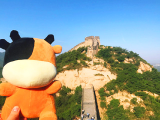 北京旅行團旅游報價_北京半自由行_2021去北京跟團多少錢