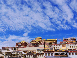 去西双版纳旅游的价格_公司去西双版纳旅游_西双版纳旅行跟团