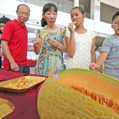 活动模块 
