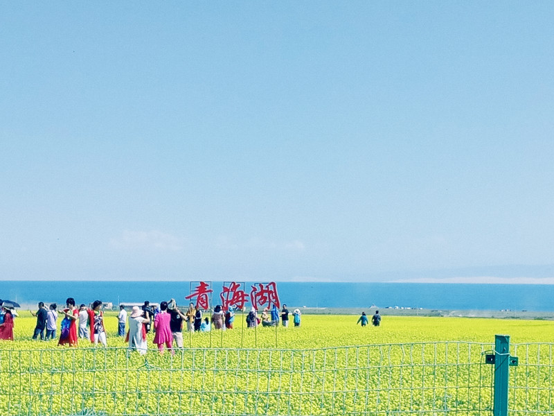 美丽的青海湖