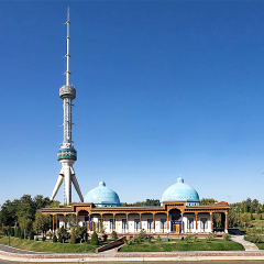 塔什干电视塔 景点模块