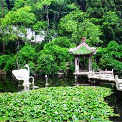 景点模块 
