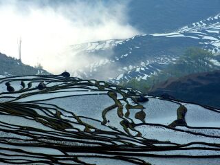 云南元陽梯田旅游組團(tuán)_云南元陽梯田自由行組團(tuán)_云南元陽梯田跟團(tuán)游與自由行