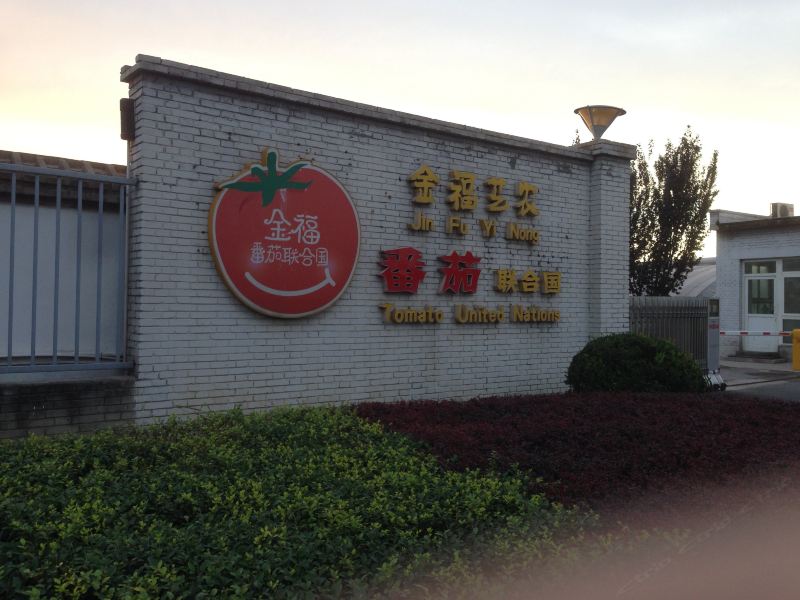 北京金福艺农番茄客栈