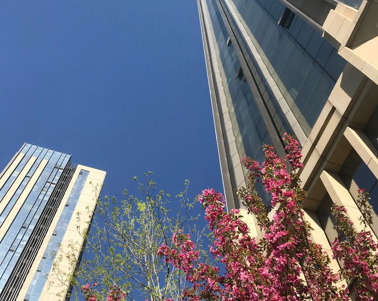 北京裸心墅公寓(天容街北站分店)