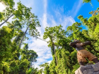 廣州云南西雙版納旅游團(tuán)_云南西雙版納最佳旅游路線_暑假云南西雙版納游價(jià)格