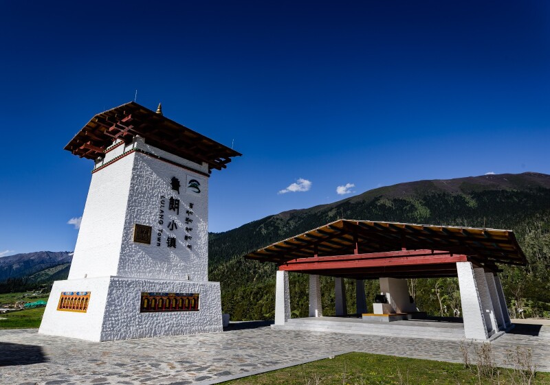 带着挖财去旅行#穿过林芝的雾,在鲁朗静静发呆
