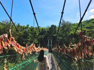 廣州云南西雙版納旅游團(tuán)_云南西雙版納最佳旅游路線_暑假云南西雙版納游價(jià)格