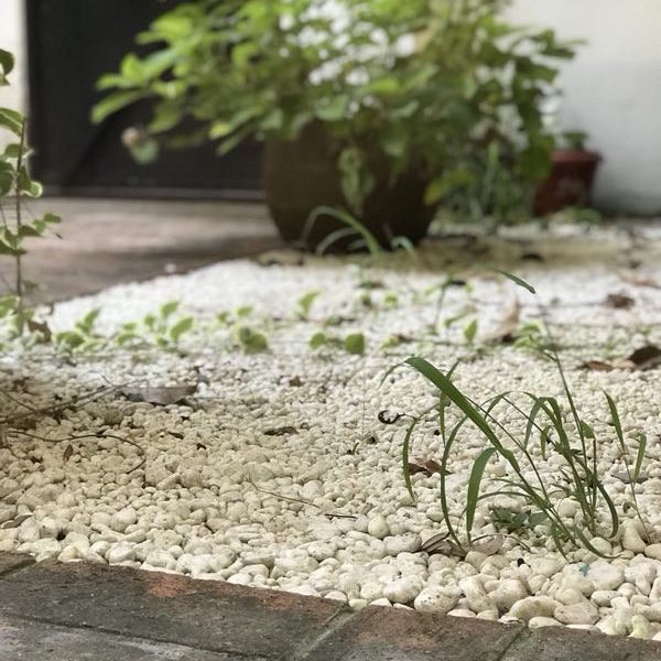 上海沁园小屋(2号店)
