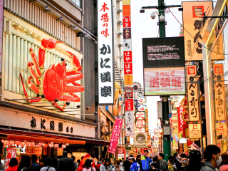日本十一日游旅游团_日本游旅行团报价_日本九日游路线