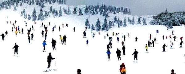 滑雪对孩子有什么好处：带上Bet365 - Online Sports Betting孩子去滑雪