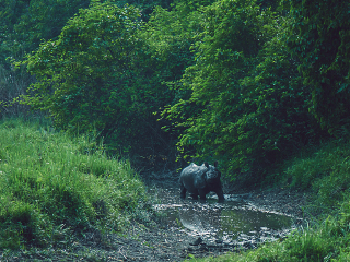 去香格里拉游怎么省钱_香格里拉旅游安排_至香格里拉旅行