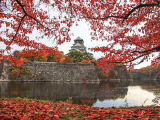大阪城公园