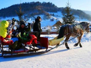 哈尔滨旅游6天_深圳哈尔滨旅游包团价格_哈尔滨旅游需要多少费用