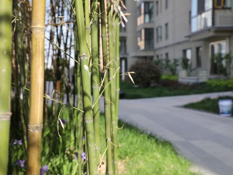西安小慧蜗居普通公寓