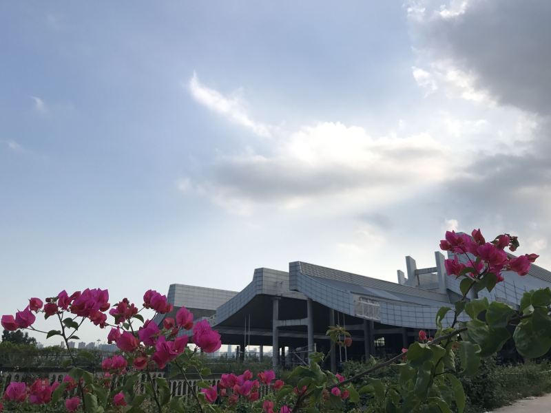 厦门北站林家小院