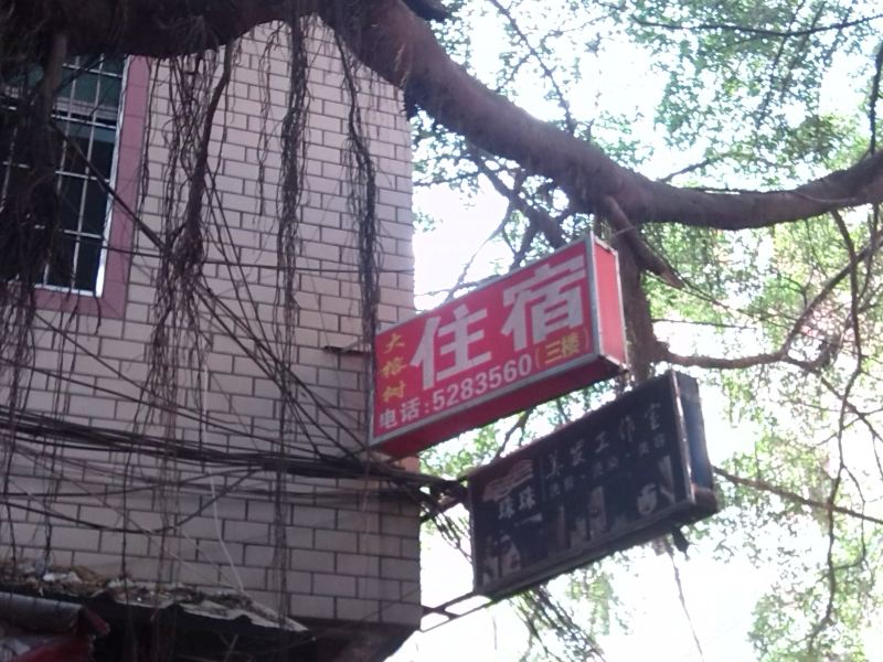 厦门大榕树住宿