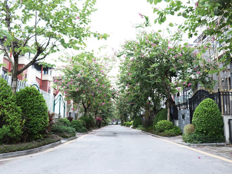 广州墅客度假别墅